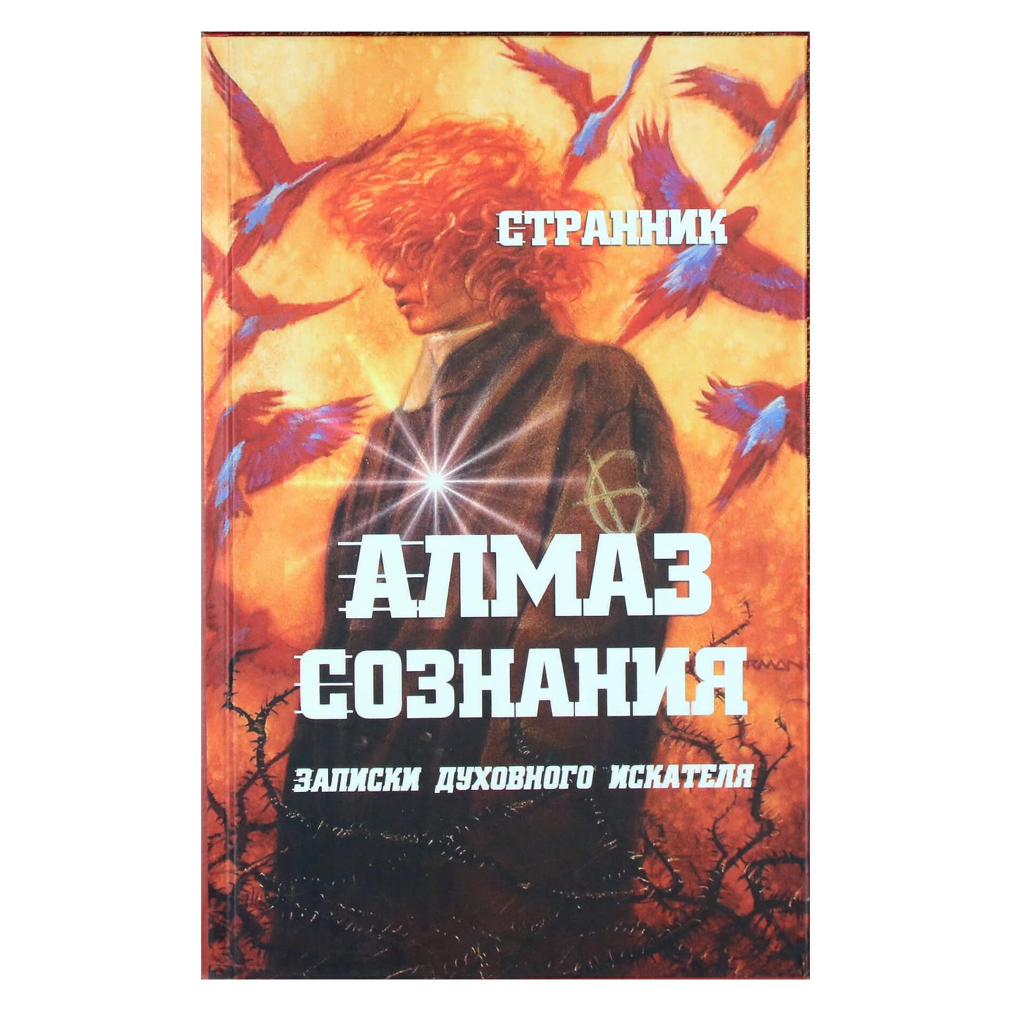 Klajoklis "Sąmonės deimantas. Dvasinio ieškotojo užrašai"