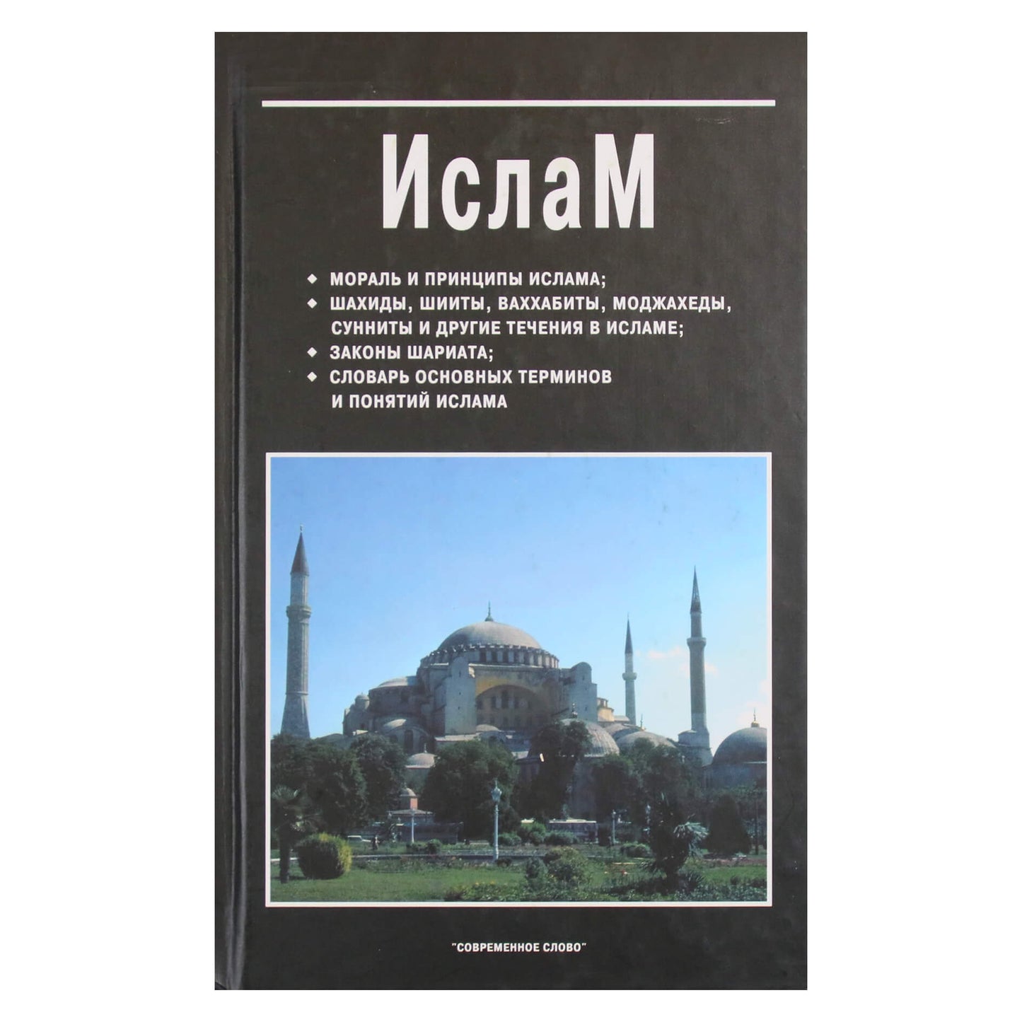Viktoras Jurčukas „Islamas“