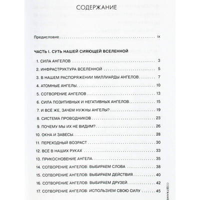 Yehuda Berg „Angelo intelektas“