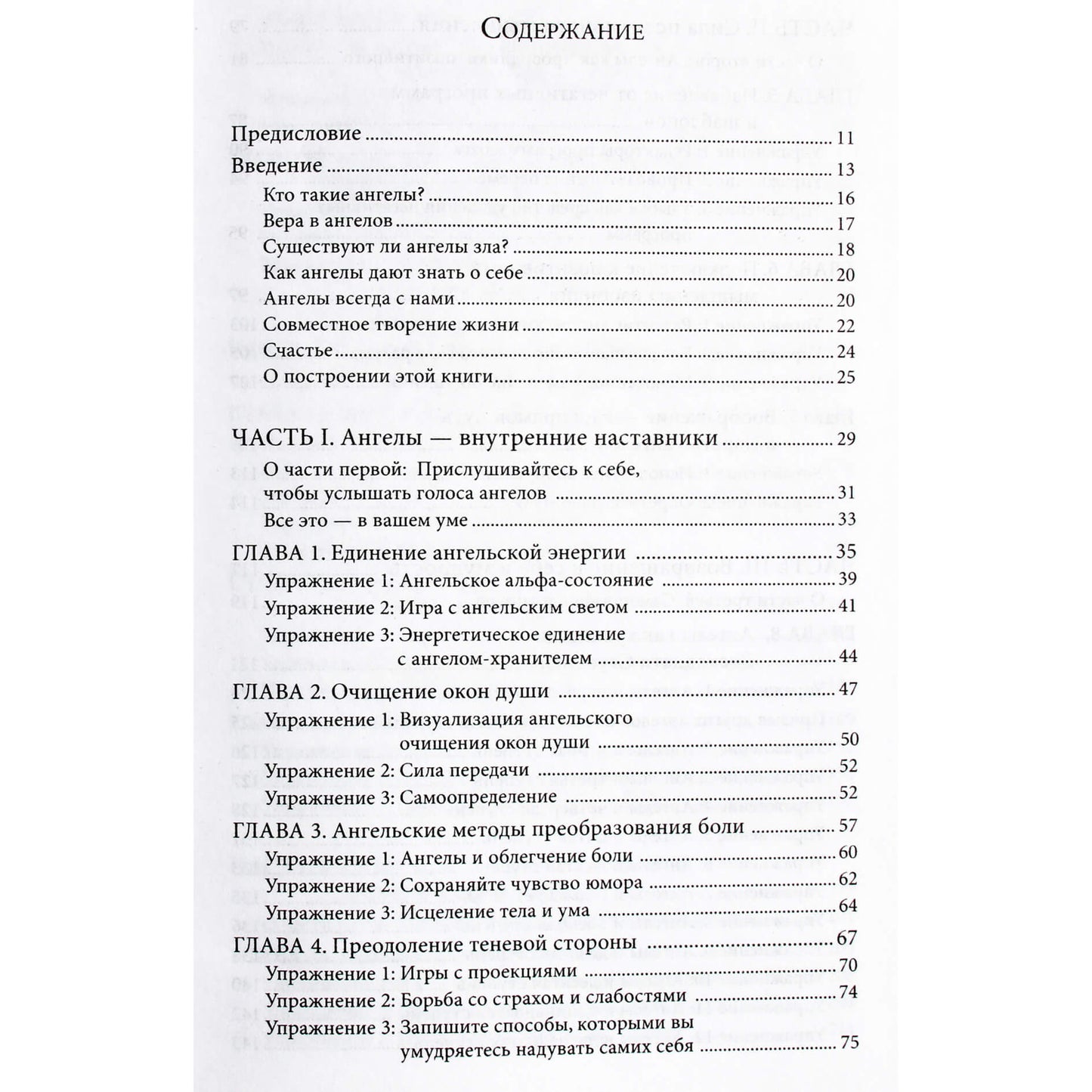 Terri Lynn Taylor „Vilties angelai sargai“