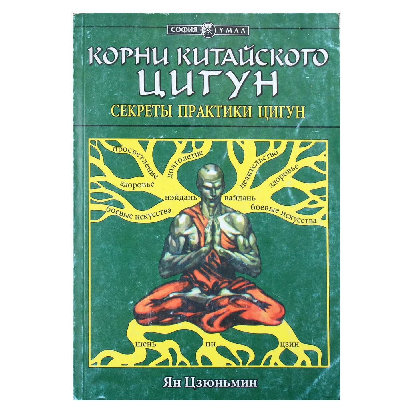 Ян ЦЗЮНЬМИНЬ "Корни китайского цигун"