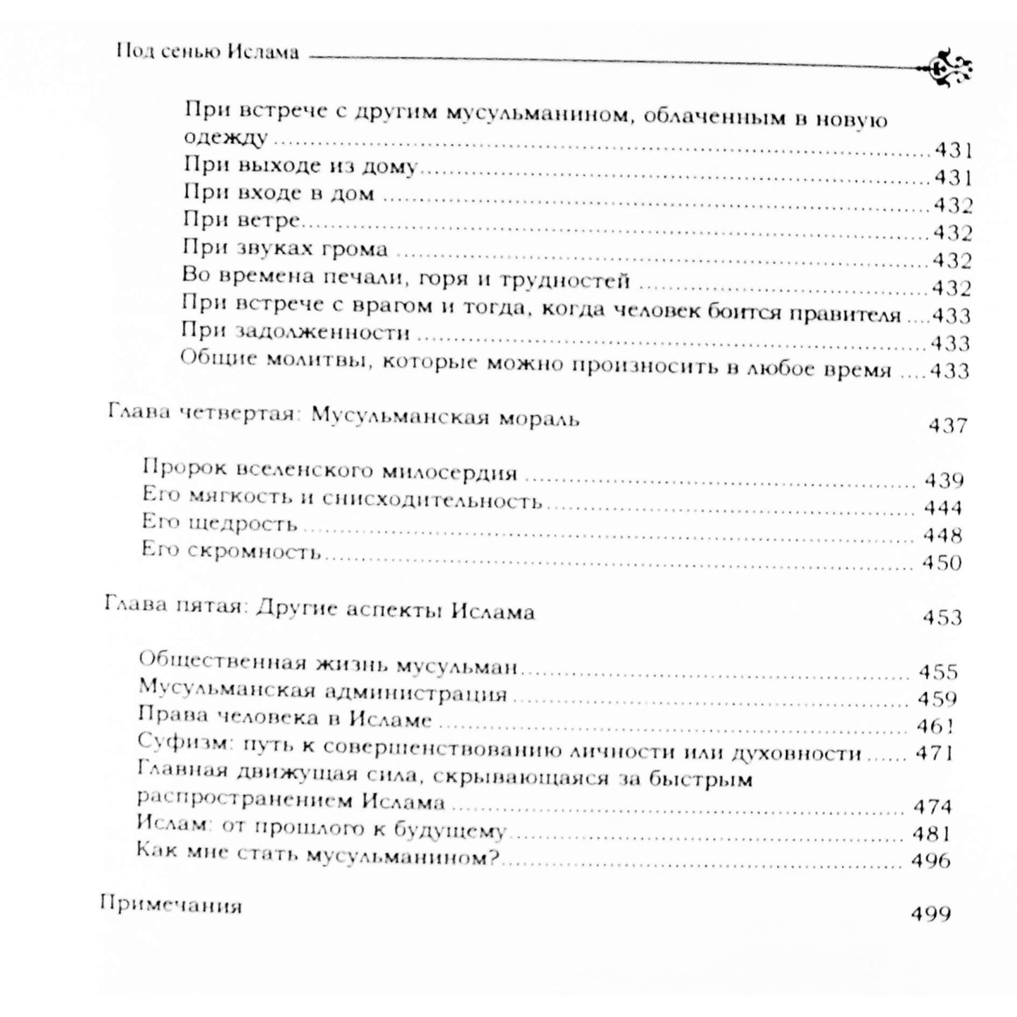 Ismail Buyukchelebi „Po islamo šešėliu“