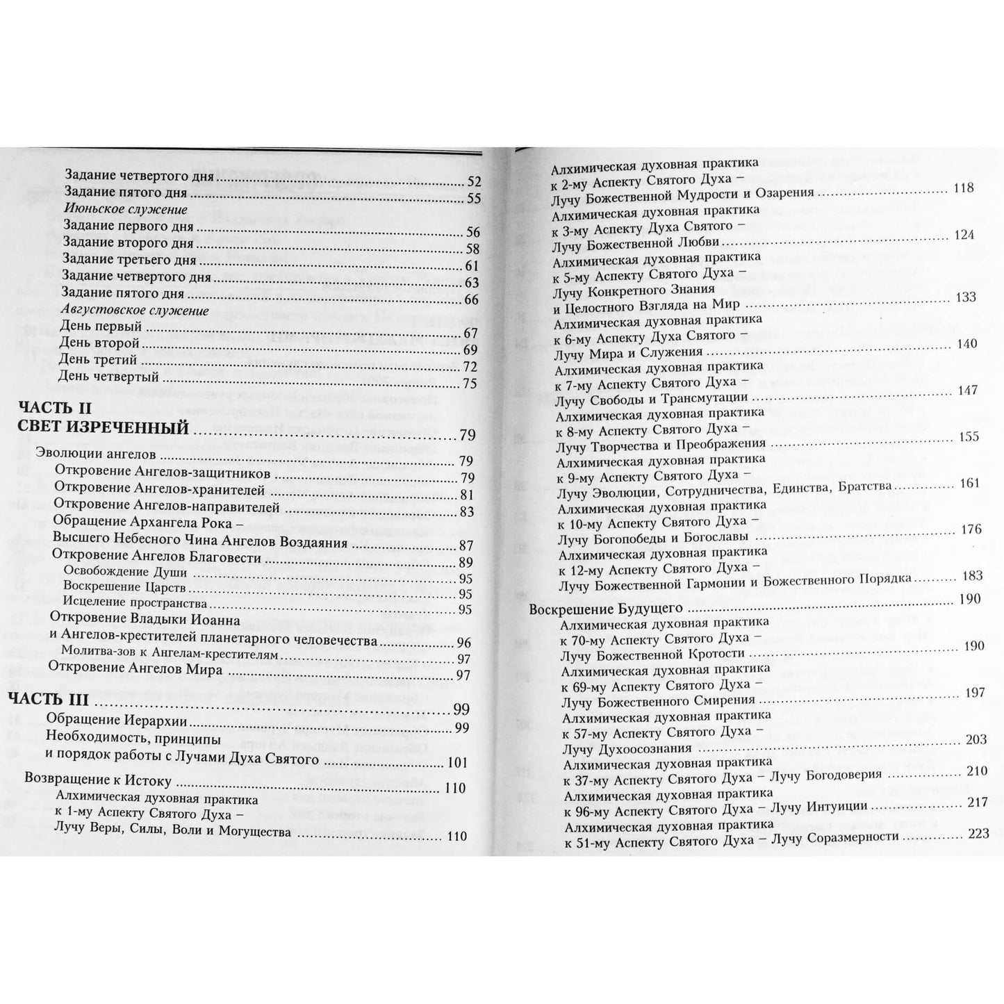 Nadežda Domaševa „Tiltas tarp pasaulių. Darbas su aukštos vibracijos energijos srautais. Meditacijos. Maldos“