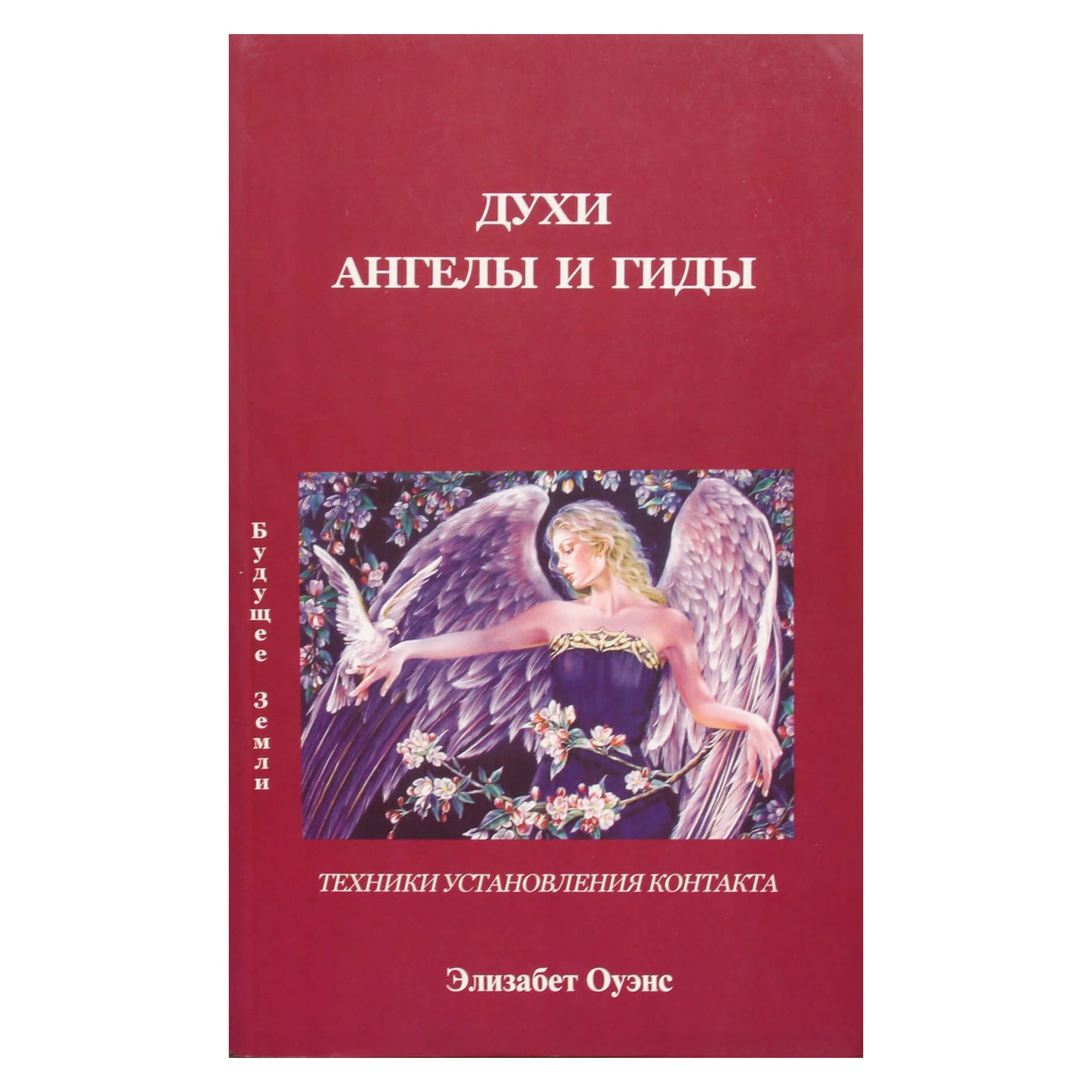 Elizabeth Owens „Kaip bendrauti su angelais ir dvasiomis“