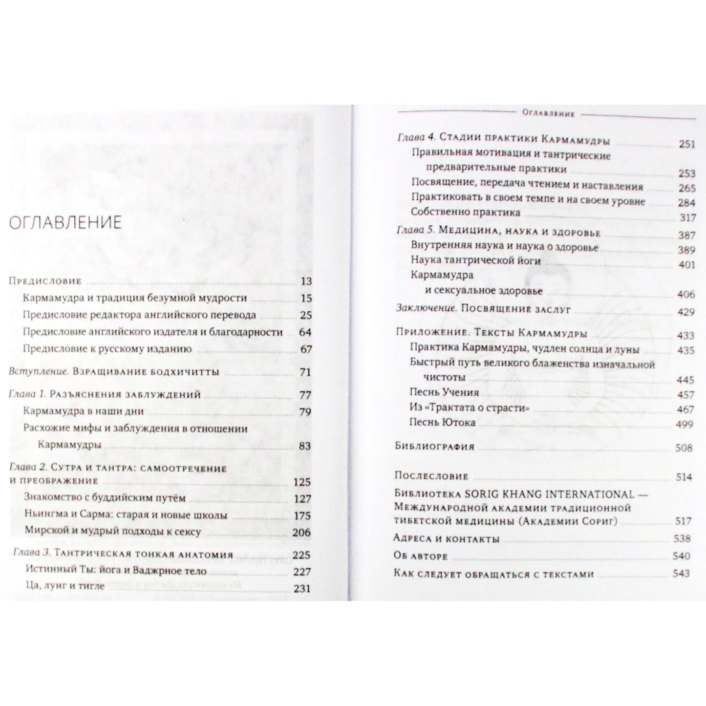 Nida Chenagtsang "Karmamudra: palaimos joga. Seksualumas Tibeto medicinoje ir budizme"