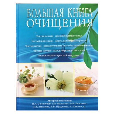 Елена Демина "Большая книга очищения"
