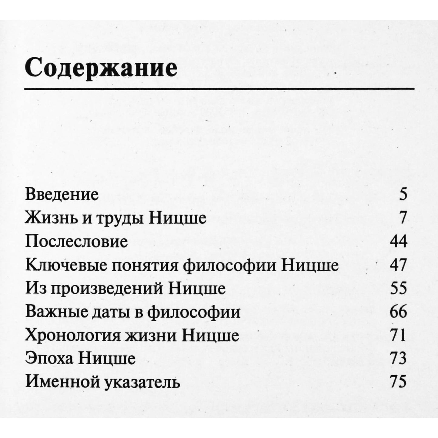 Friedrichas Nietzsche per 90 minučių