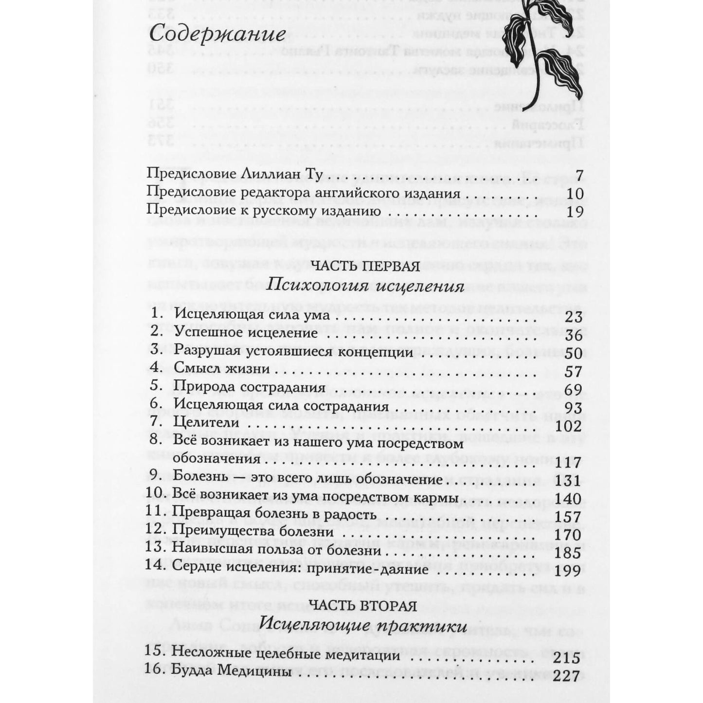 Лама Сопа Ринпоче "Абсолютное исцеление. Духовное целительство"