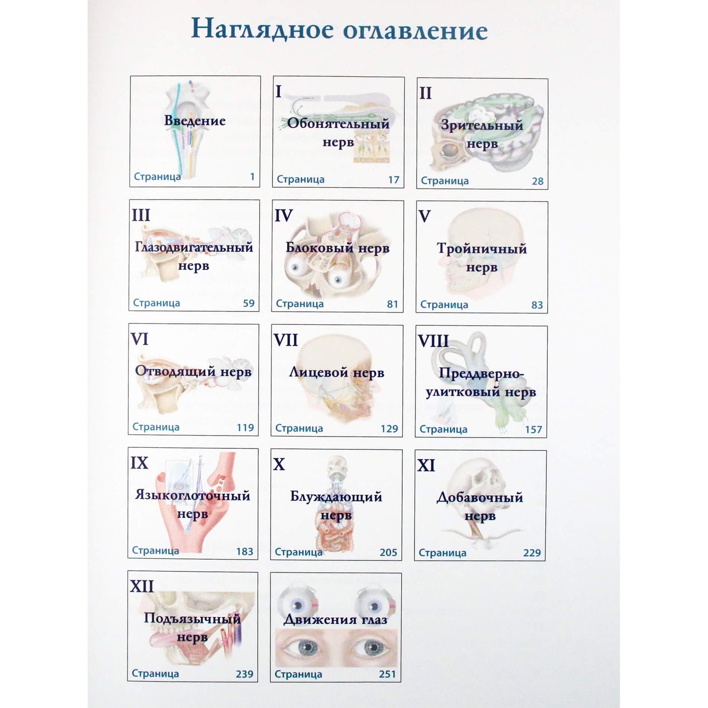 Wilson-Pauwels "Kaukolės nervai. Funkcija ir disfunkcija"