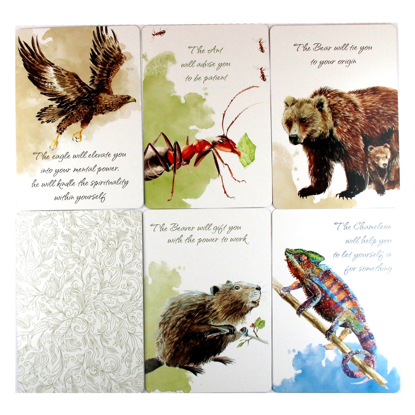 Gyvūnų jėgos kortelės