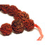 Чётки из рудракши крупные, (108 бусин)