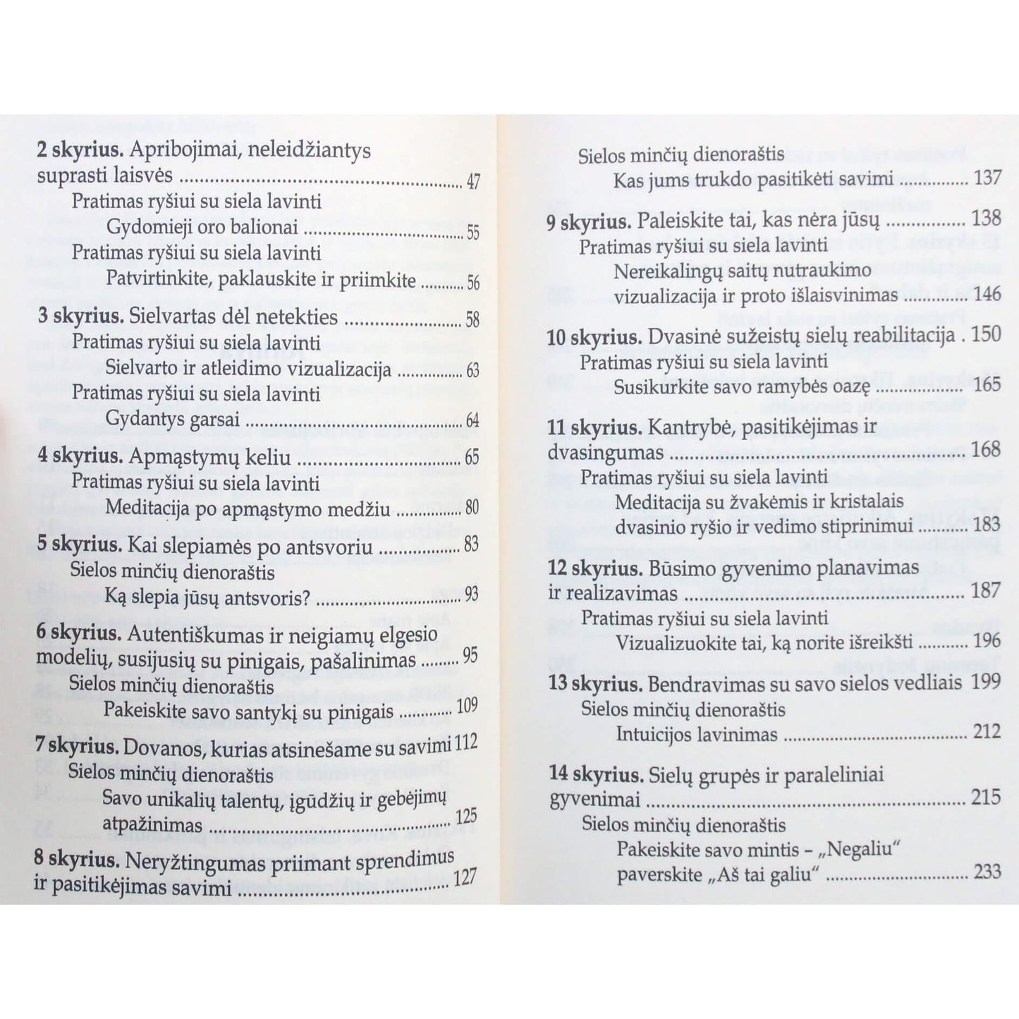 Bryn Blankinship "Beribė siela"