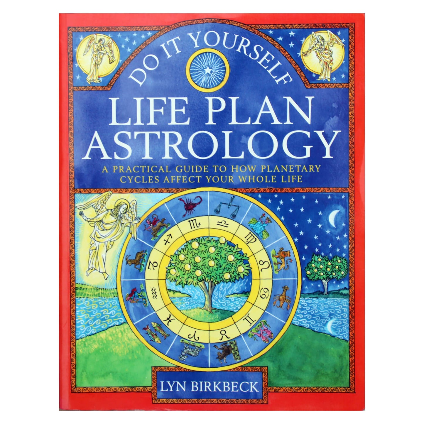 Lyn Birkbeck "Do It Yourself life Plan Astrology"