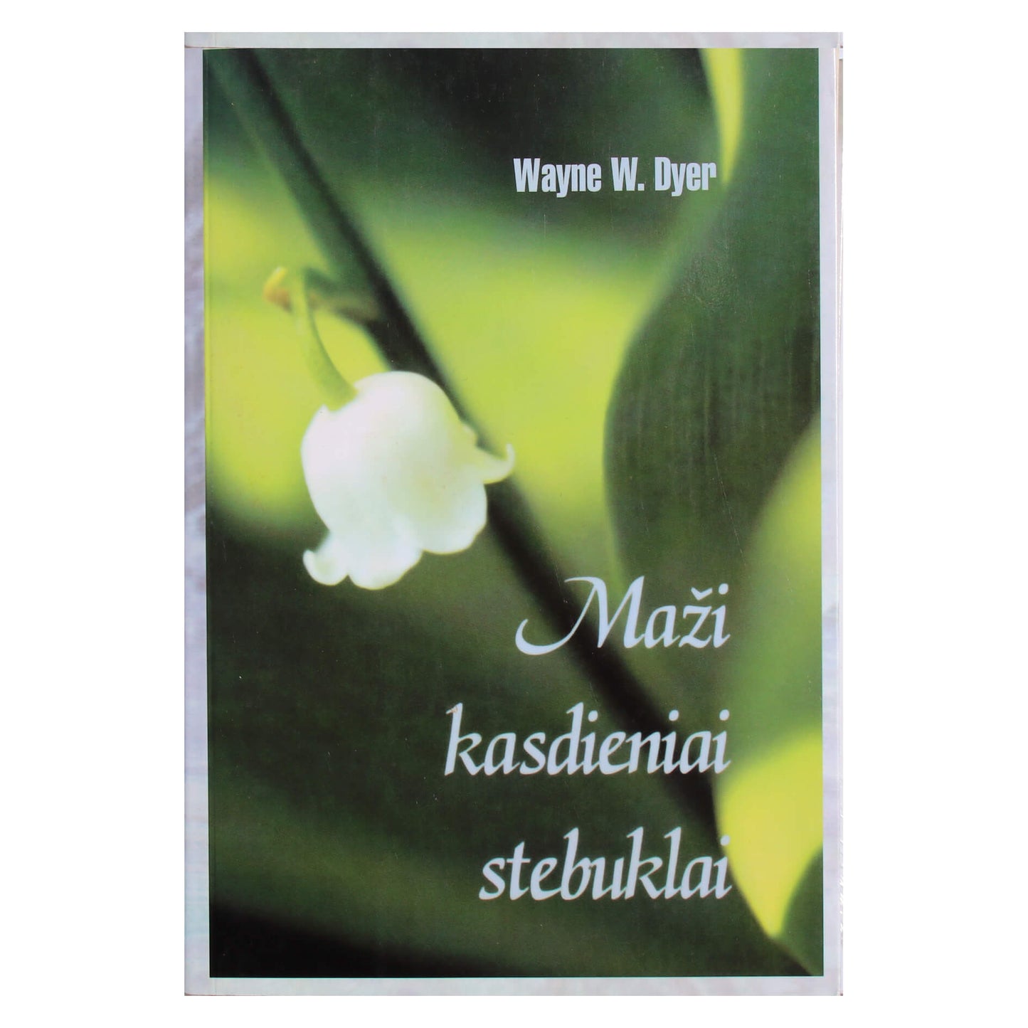 Dažytojas „Maži kasdieniai stebuklai“