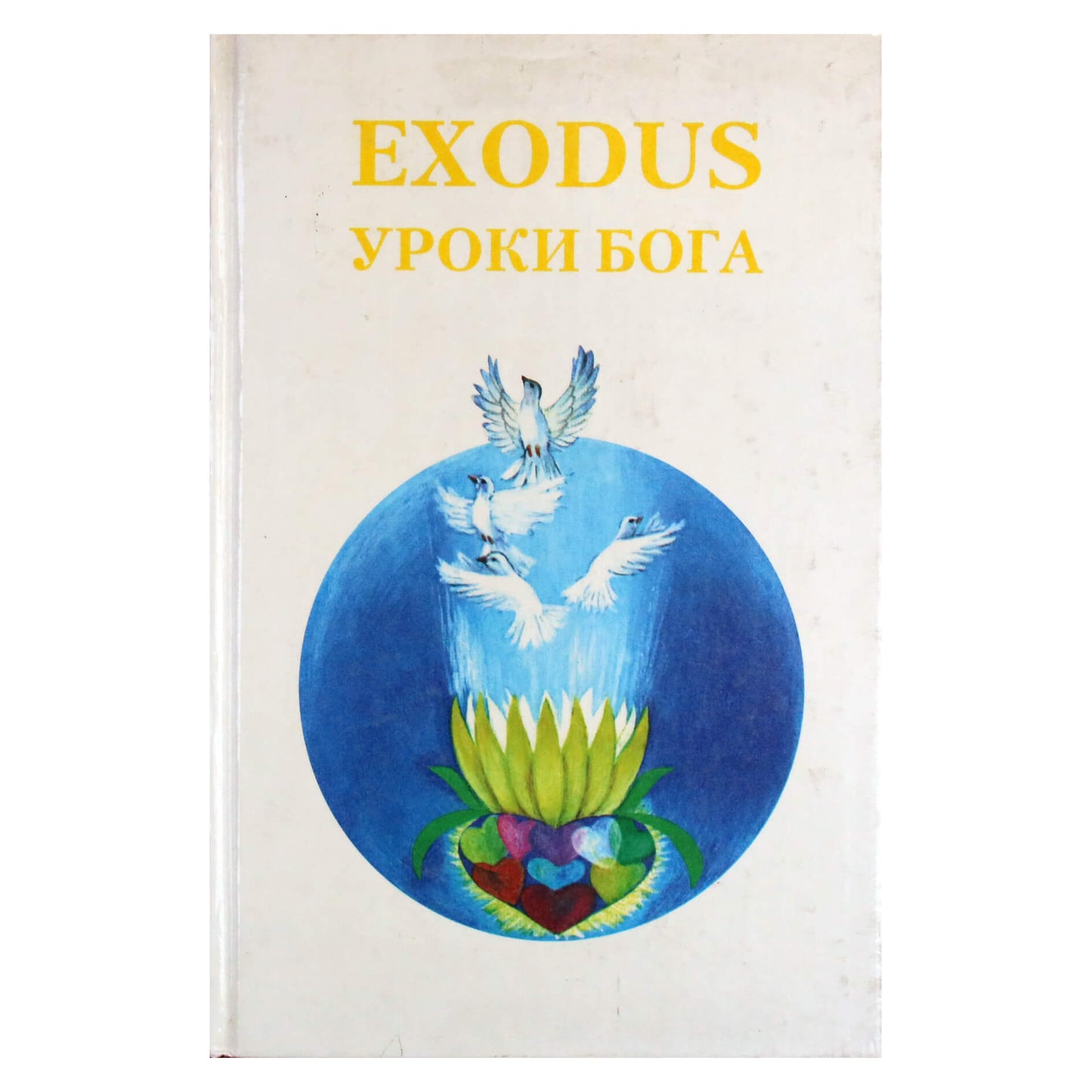 IŠĖJIMO Pamokos iš Dievo, 5.1 knyga