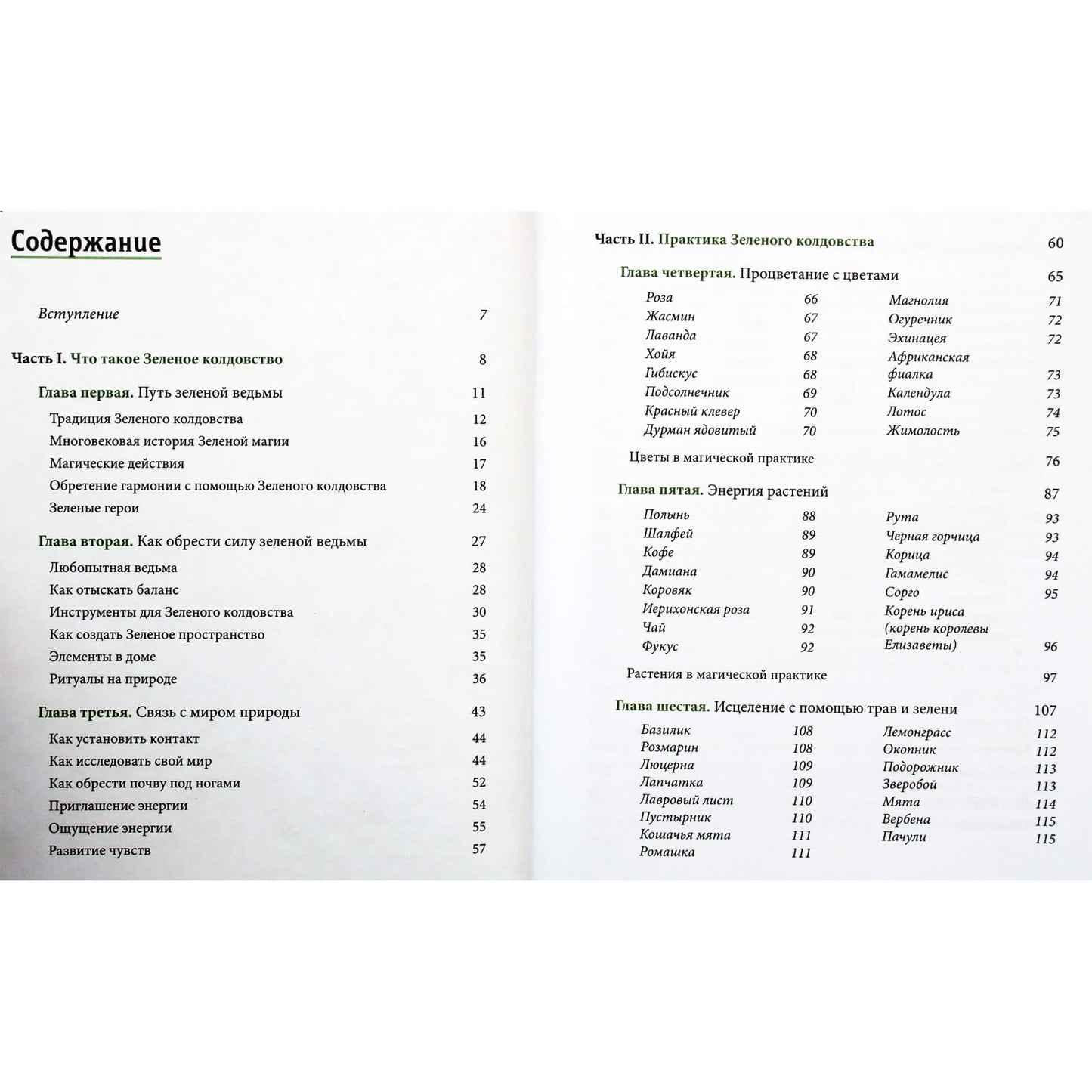 Paige Vanderbeck "Žalioji raganystė. Kaip atrasti gėlių, žolelių, medžių, kristalų ir kt. magiją: praktinis vadovas"