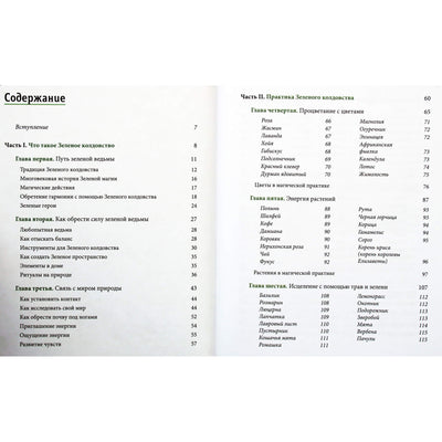 Paige Vanderbeck "Žalioji raganystė. Kaip atrasti gėlių, žolelių, medžių, kristalų ir kt. magiją: praktinis vadovas"