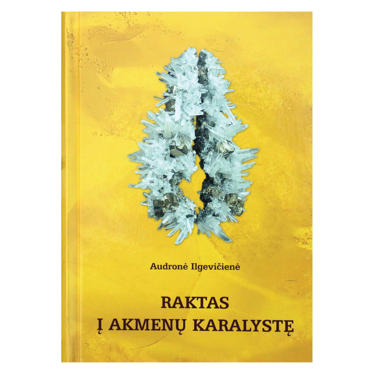Ilgevičienė "Raktas į akmenų karalystę" (du tomai vienoje knygoje)