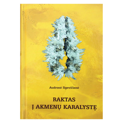 Ilgevičienė "Raktas į akmenų karalystę" (du tomai vienoje knygoje)