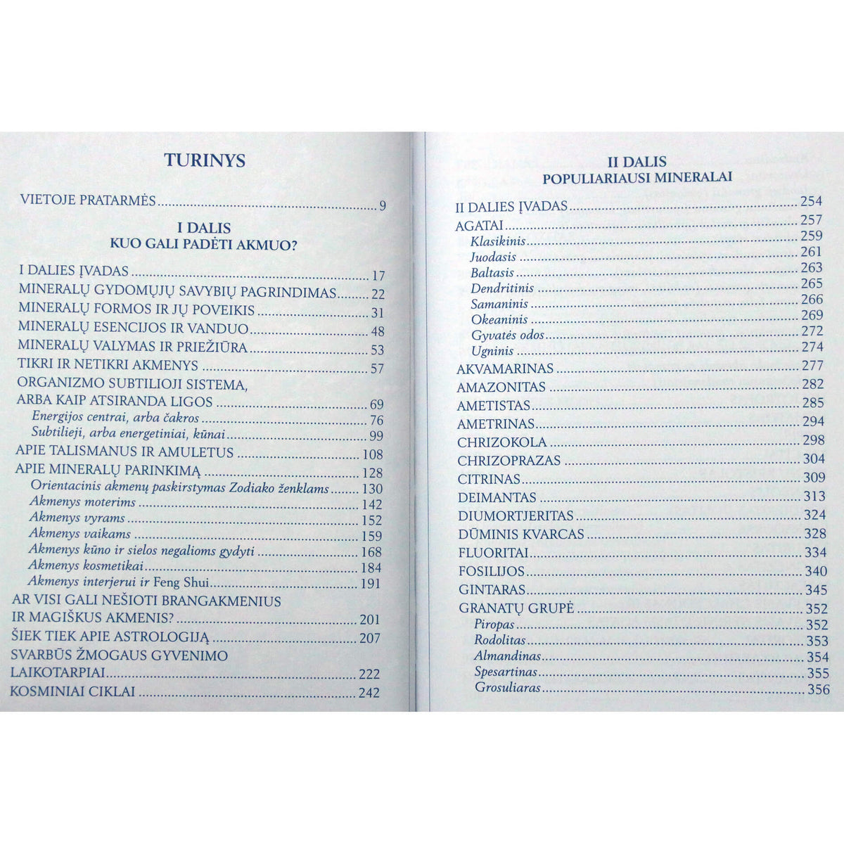 Ilgevičienė "Raktas į akmenų karalystę" (du tomai vienoje knygoje)