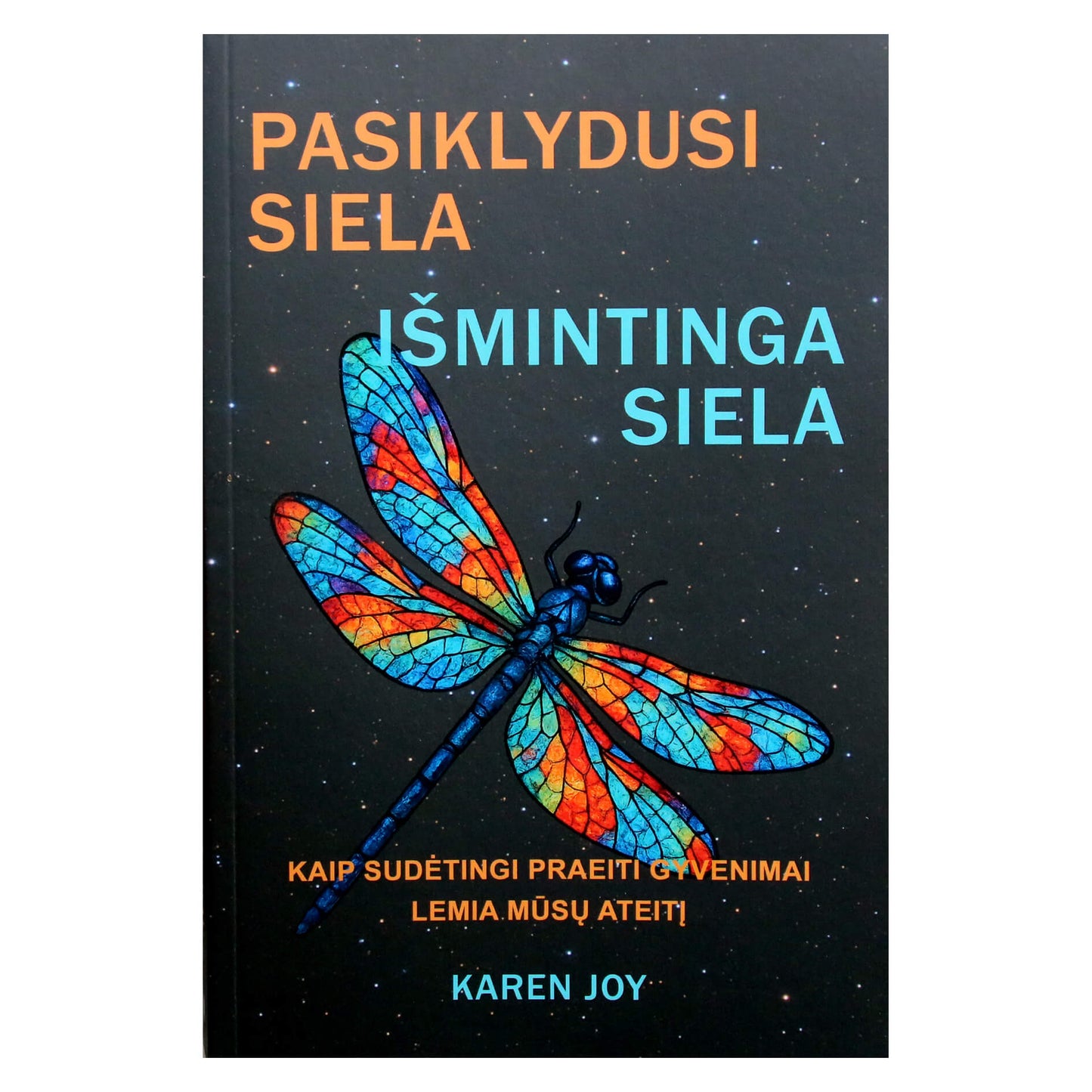 Karen Joy "Pasiklydusi siela, Išmintinga siela"