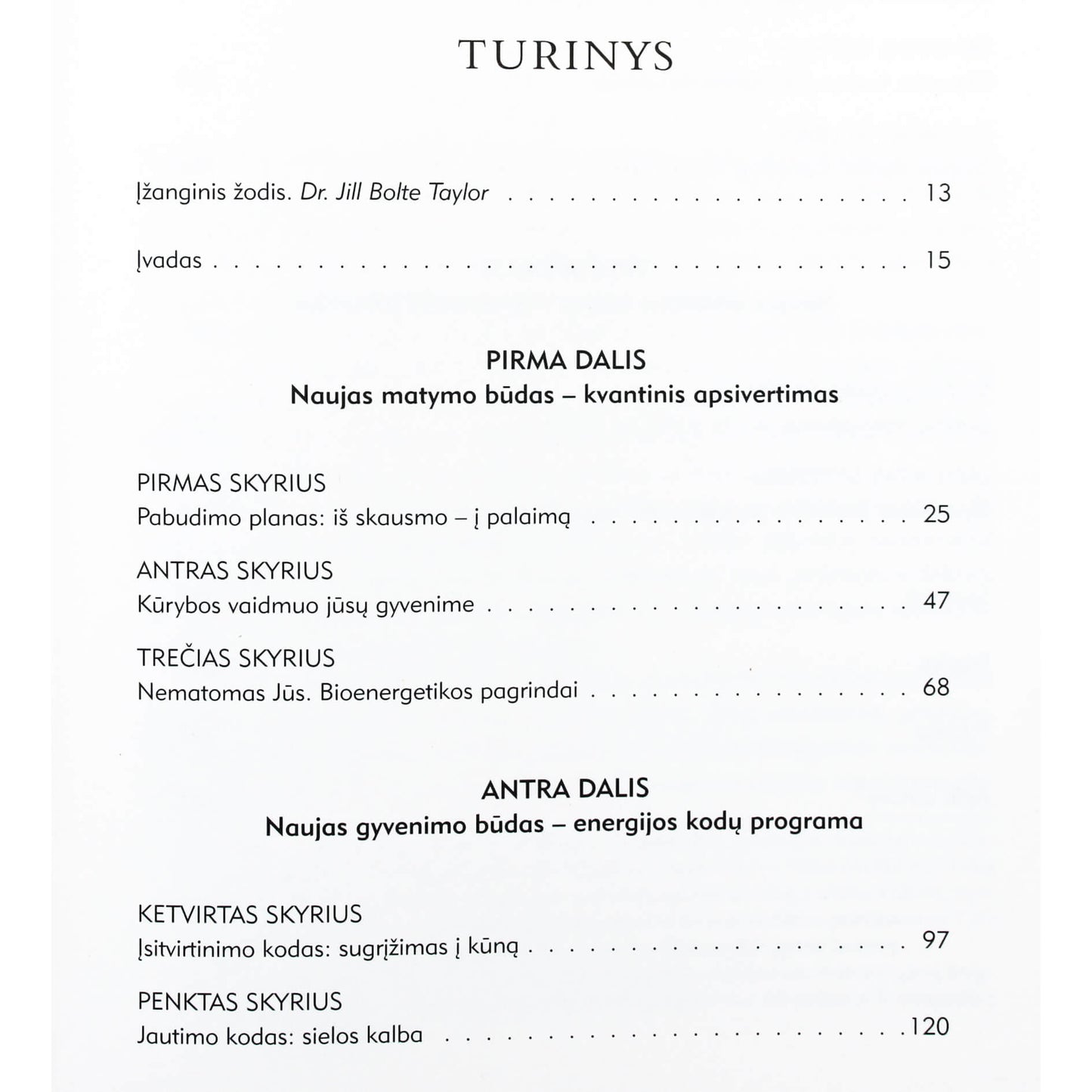 Sue Morter „Energijos kodai“