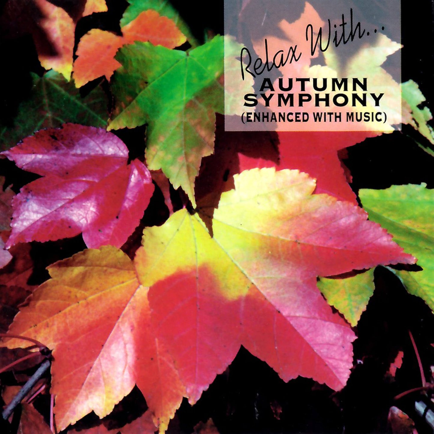 Relax with / Autumn symphony