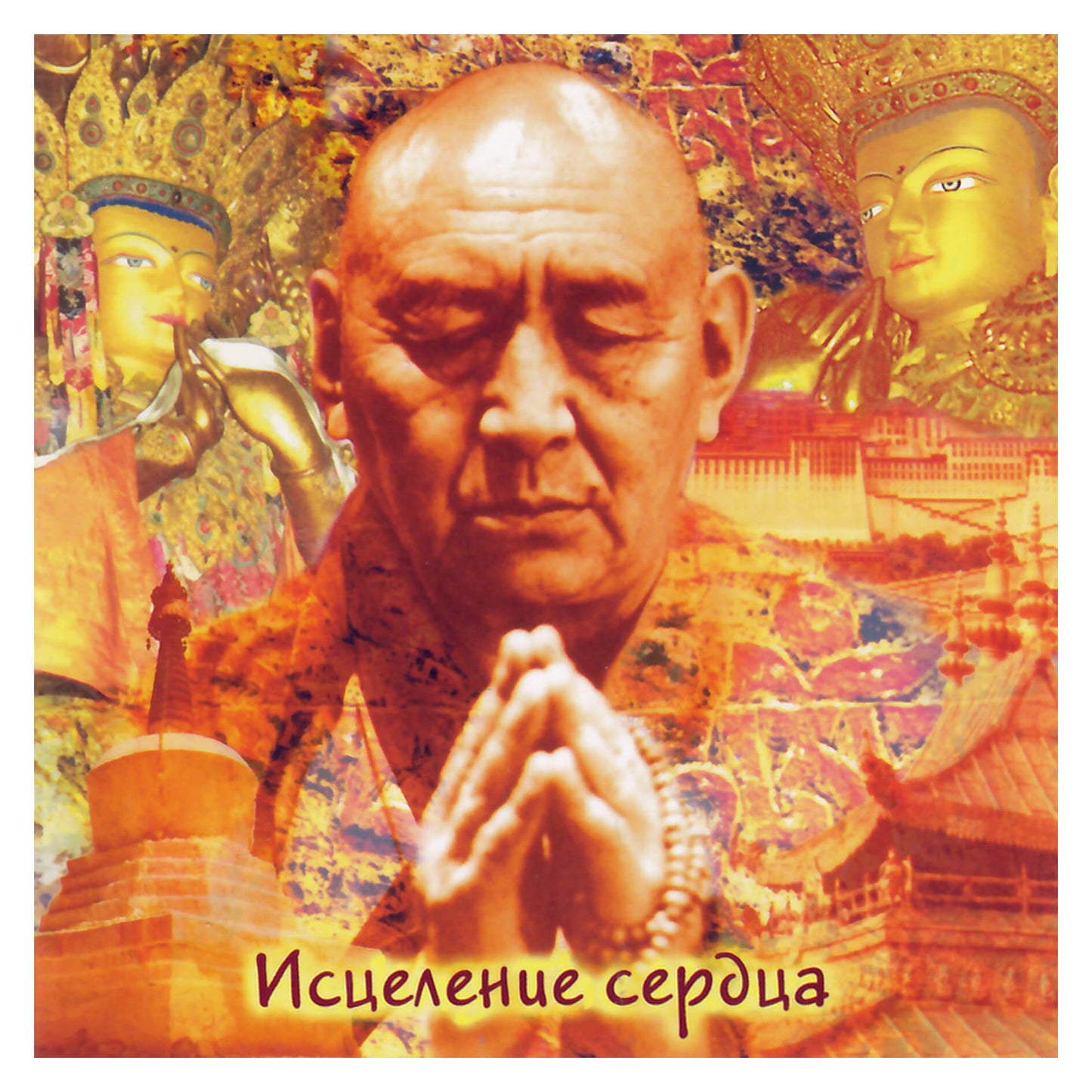 Sina Vodjani / Širdies gydymas