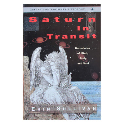 Erin Sullivan "Saturn in Transit"