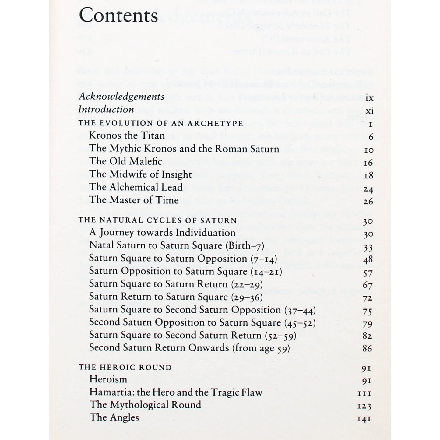 Erin Sullivan "Saturn in Transit"