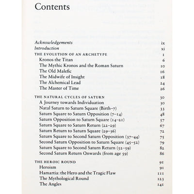 Erin Sullivan "Saturn in Transit"