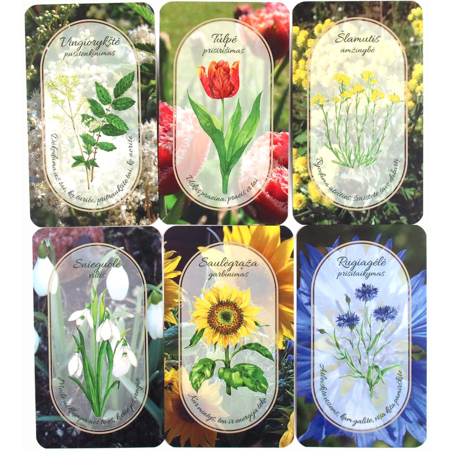 Dalia Treigienė "Treji devyneri gėlių burtai"