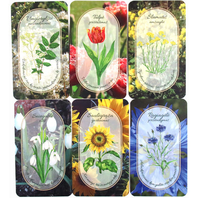 Dalia Treigienė "Treji devyneri gėlių burtai"