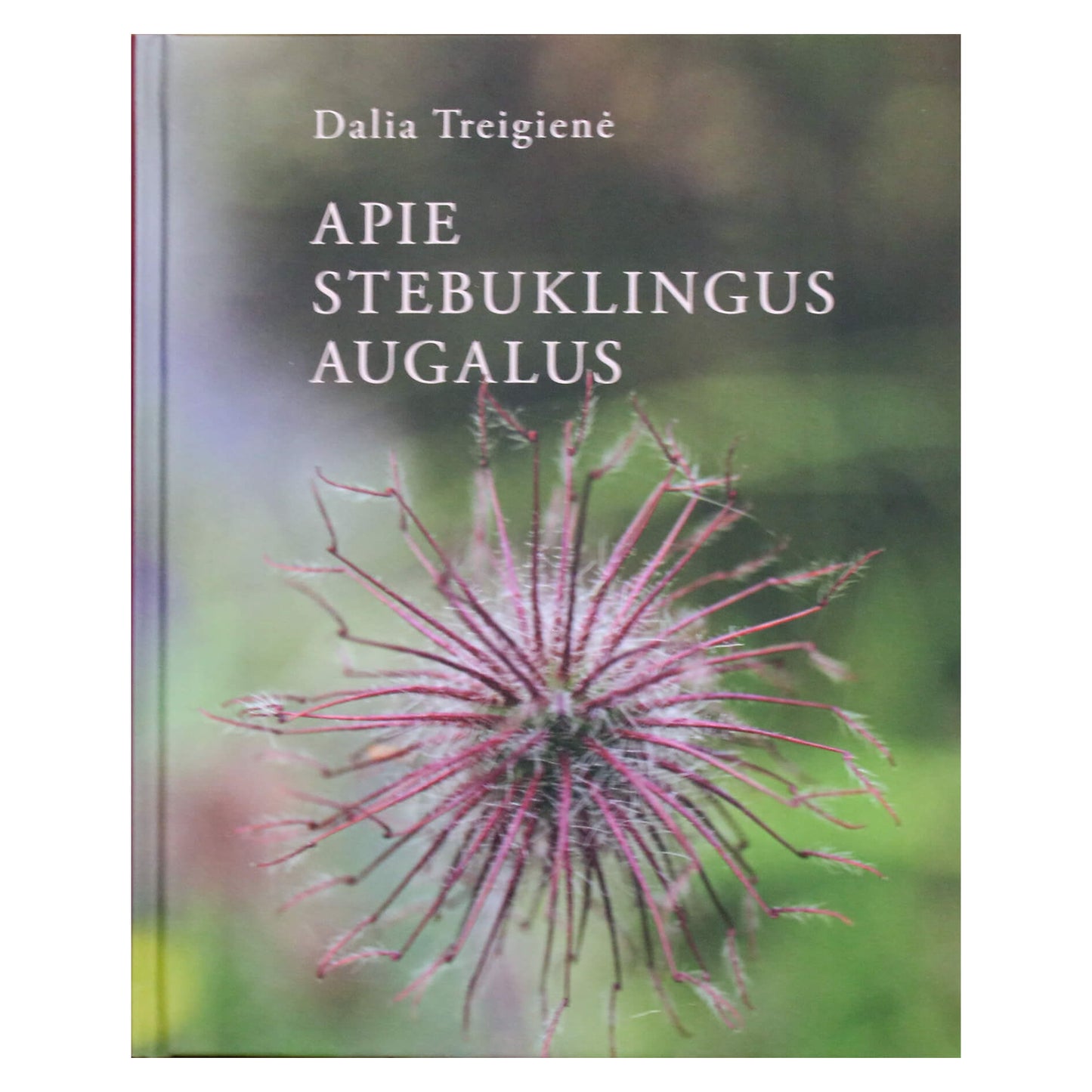 Dalia Treigienė "Apie stebuklingus augalus"