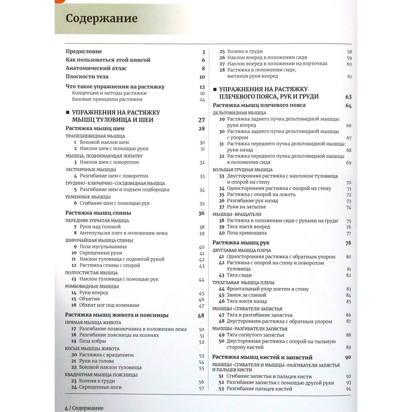 Анатомия растяжки и 100 базовых упражнений