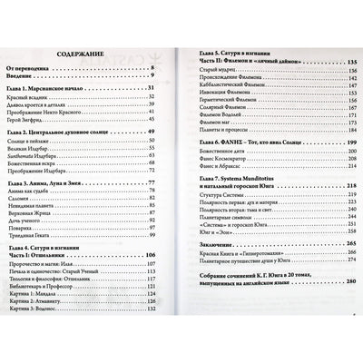 Лиз Грин "Астрологический мир Красной Книги Юнга. Демоны, Боги и планетарное путешествие"