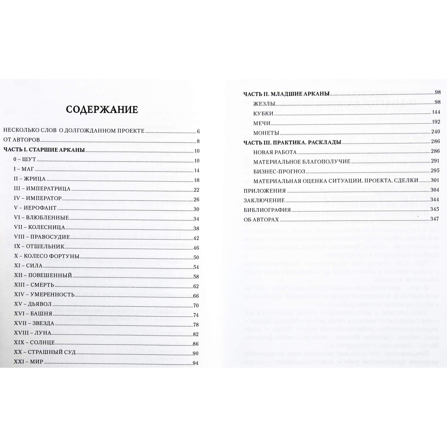 Aleksejus Lobanovas "Nykštukų taro. Verslo atsakymai"