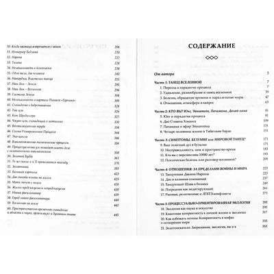 Арнольд Минделл "Танец древнего. Как Вселенная решает личные и мировые проблемы"