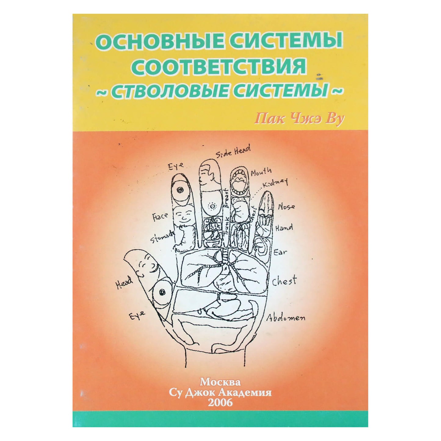 Су Джок Основные системы соответствия. Стволовые системы