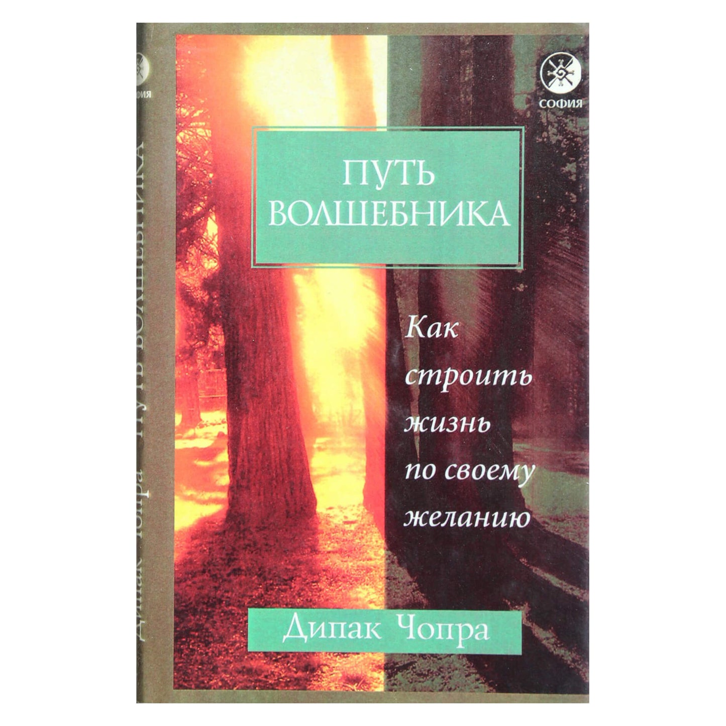 Deepak Chopra „Burtininko kelias: kaip susikurti norimą gyvenimą: dvidešimt dvasinių pamokų“