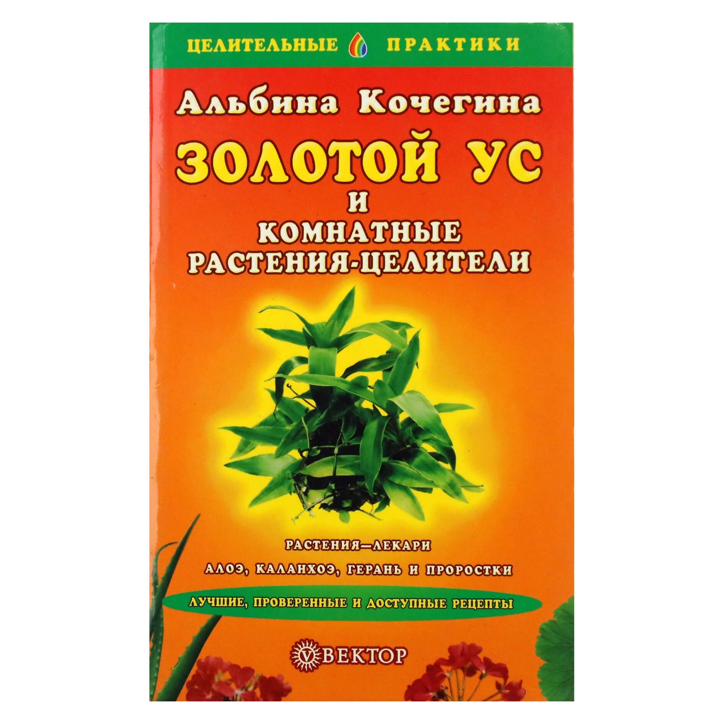 Альбина Кочегина "Золотой ус и комнатнатные растения-целители"