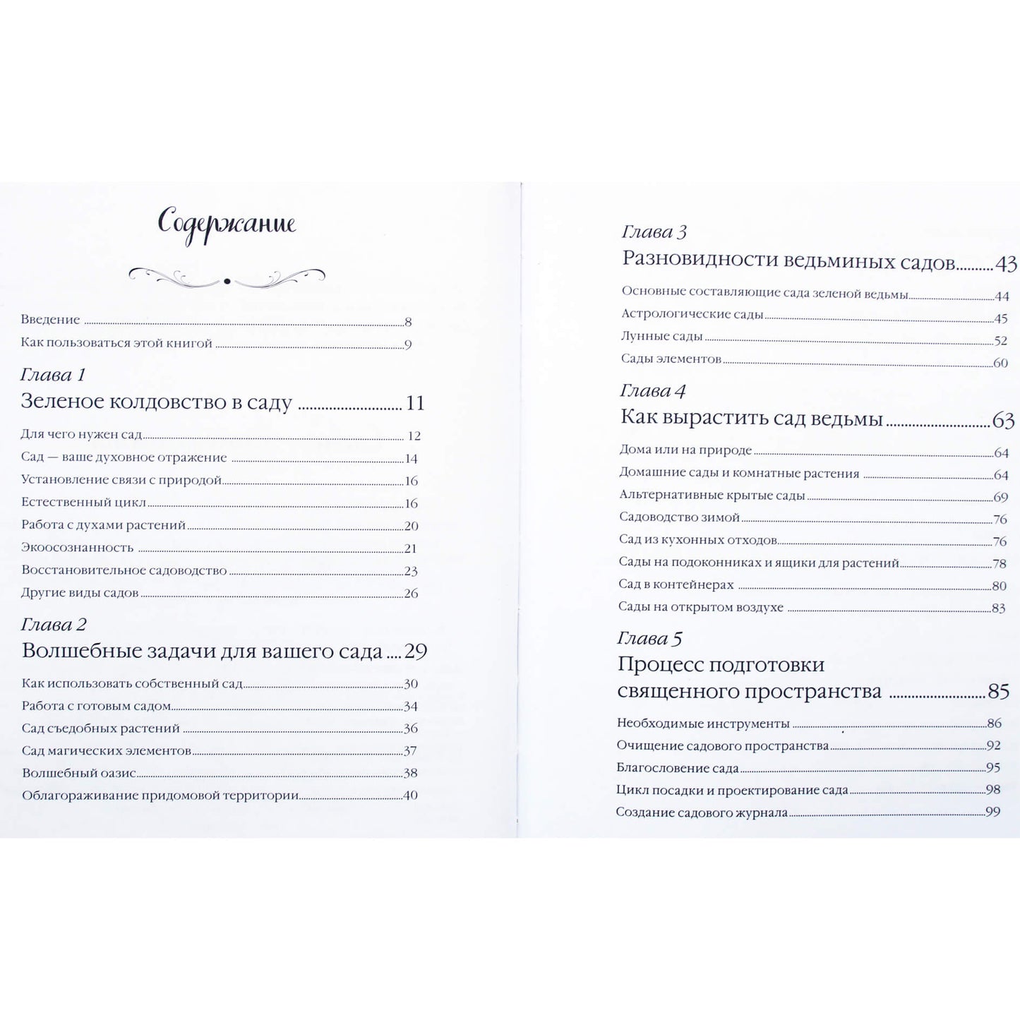 Эрин Мерфи-Хискок "Сад Зеленой ведьмы: полное руководство по созданию и поддержанию магического садового пространства"