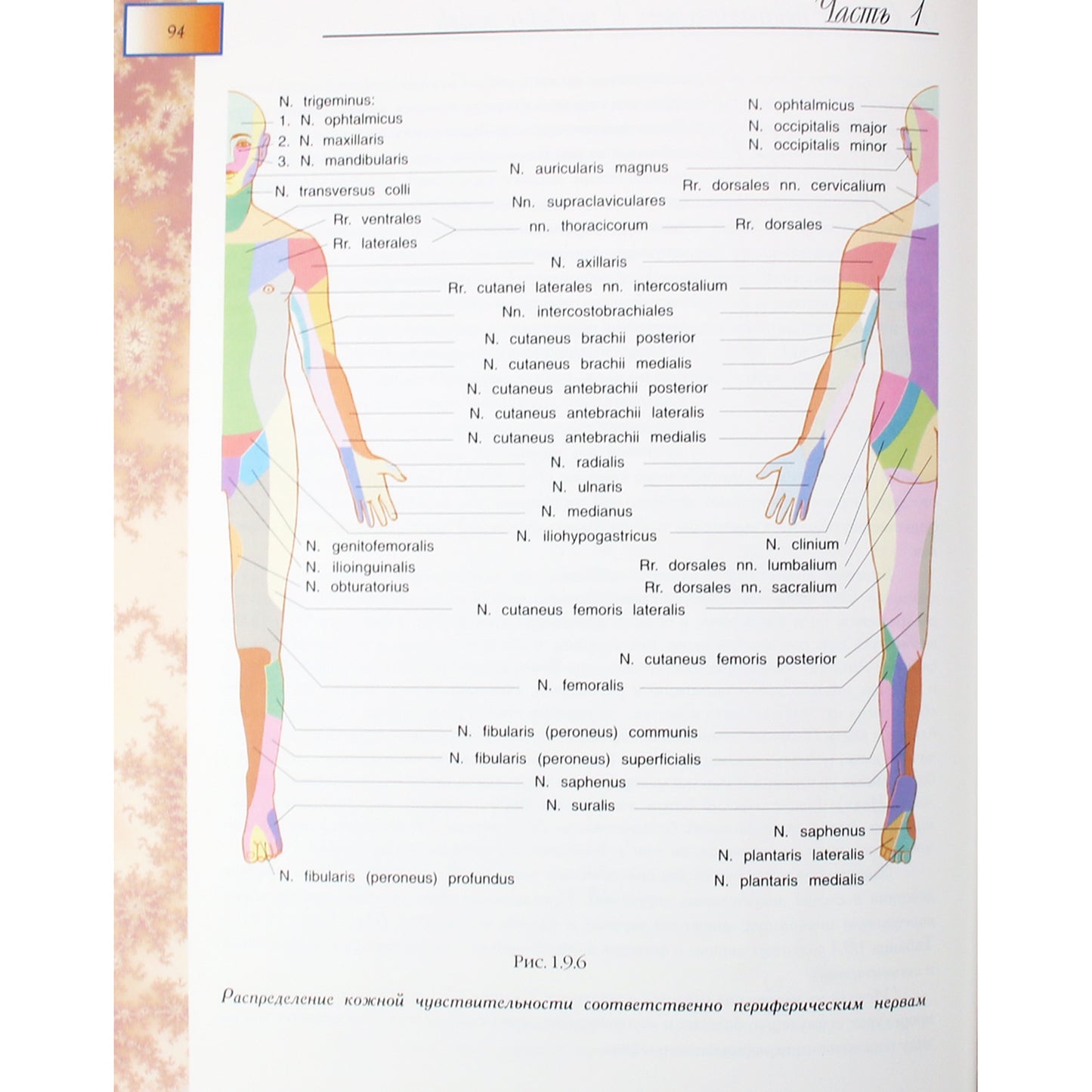 Petr Gaponyuk „Akupunktūros terapijos vadovas“