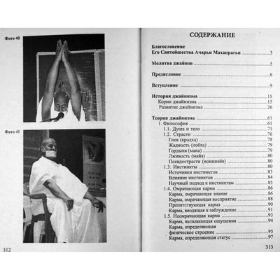Ольга Лебединская "Джайна-йога. История. Теория. Практика"