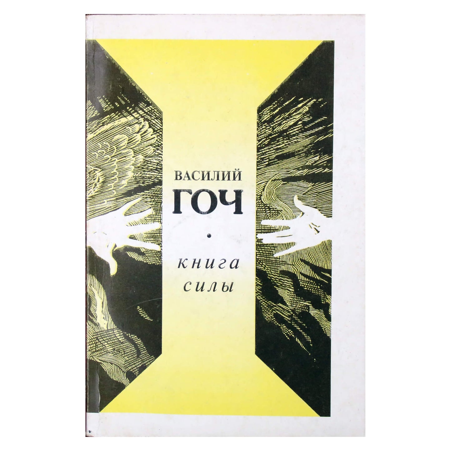 Vasilijus Gochas „Jėgos knyga“