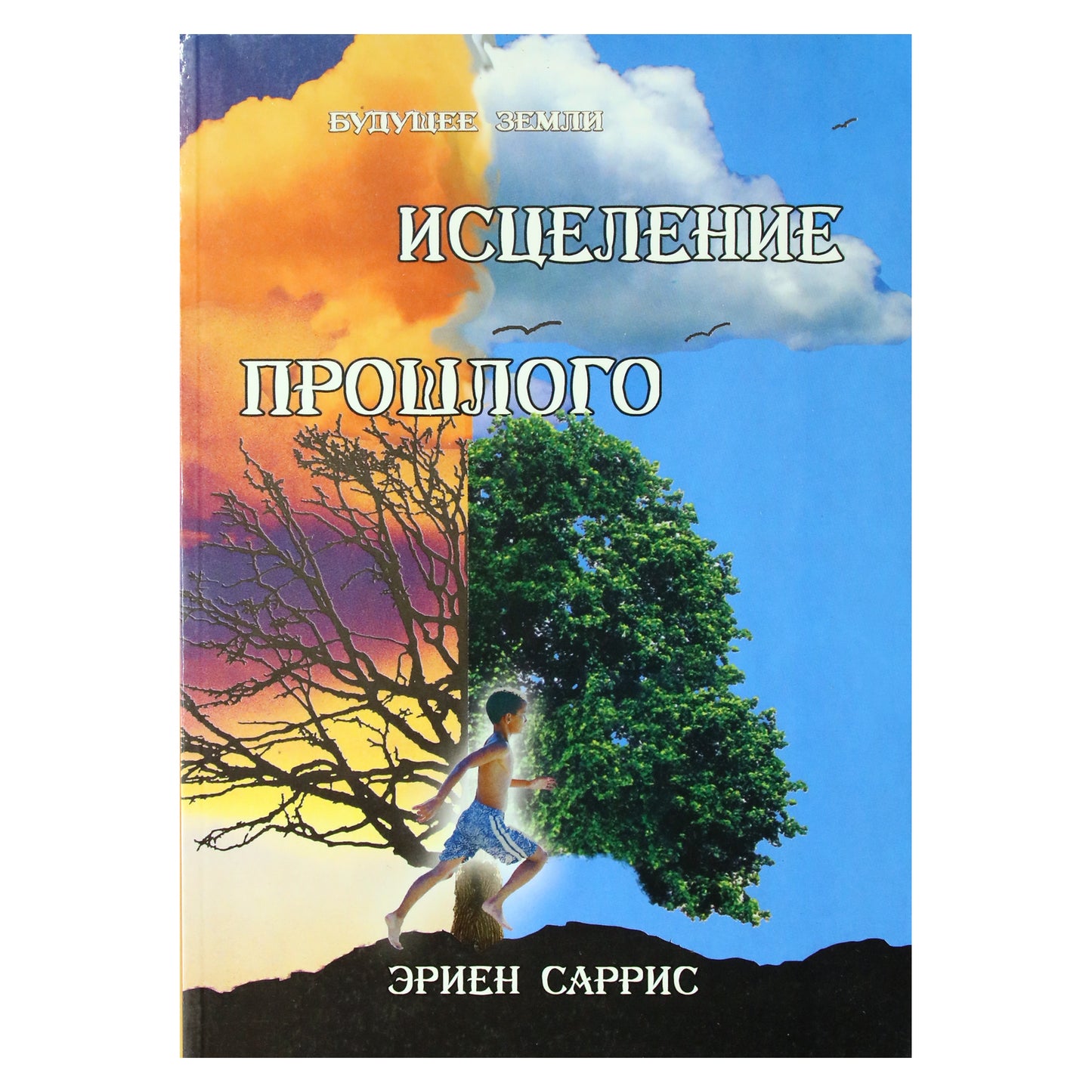 Эриен Саррис "Исцеление прошлого"