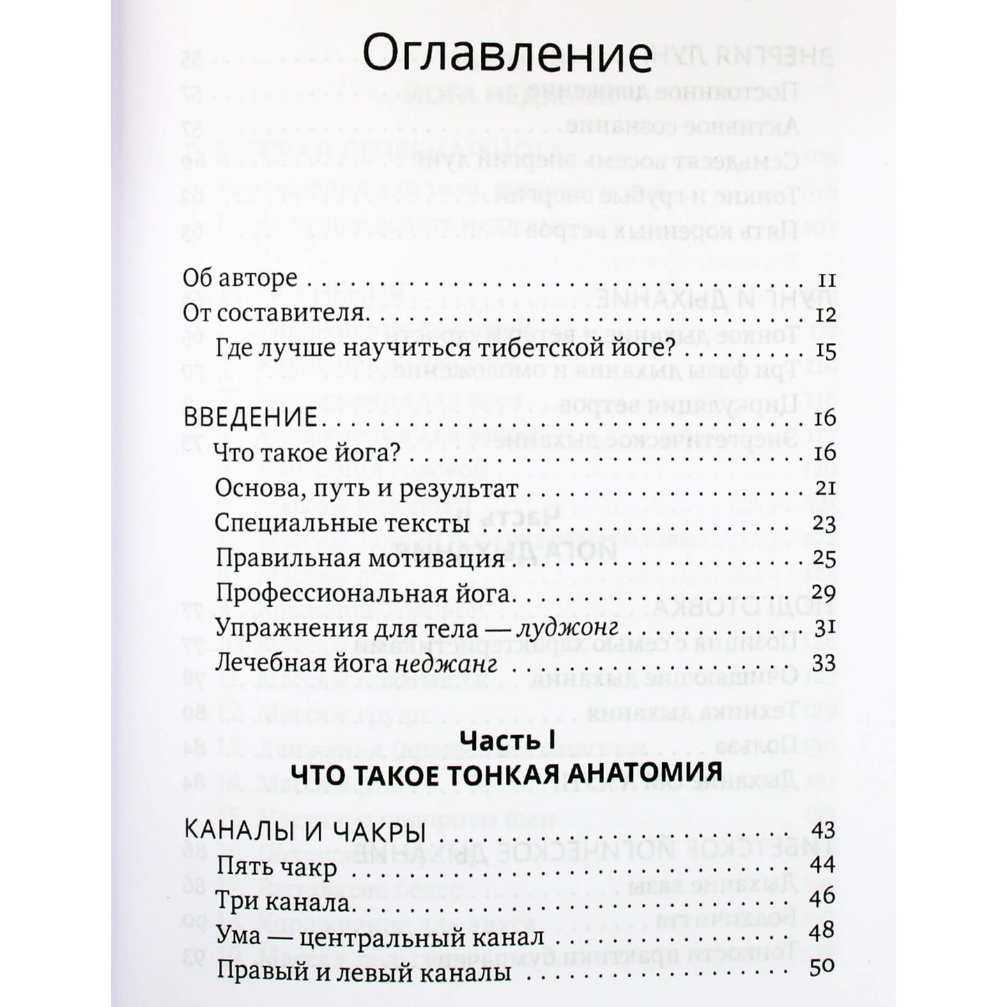 Nida Chenagtsang „Tibeto Nejang joga sveikatai ir ilgaamžiškumui“