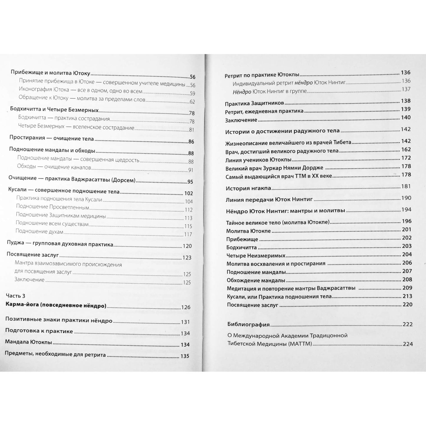 Chenagtsang "Geros karmos menas. Preliminari Yuthok Ningthik praktika"