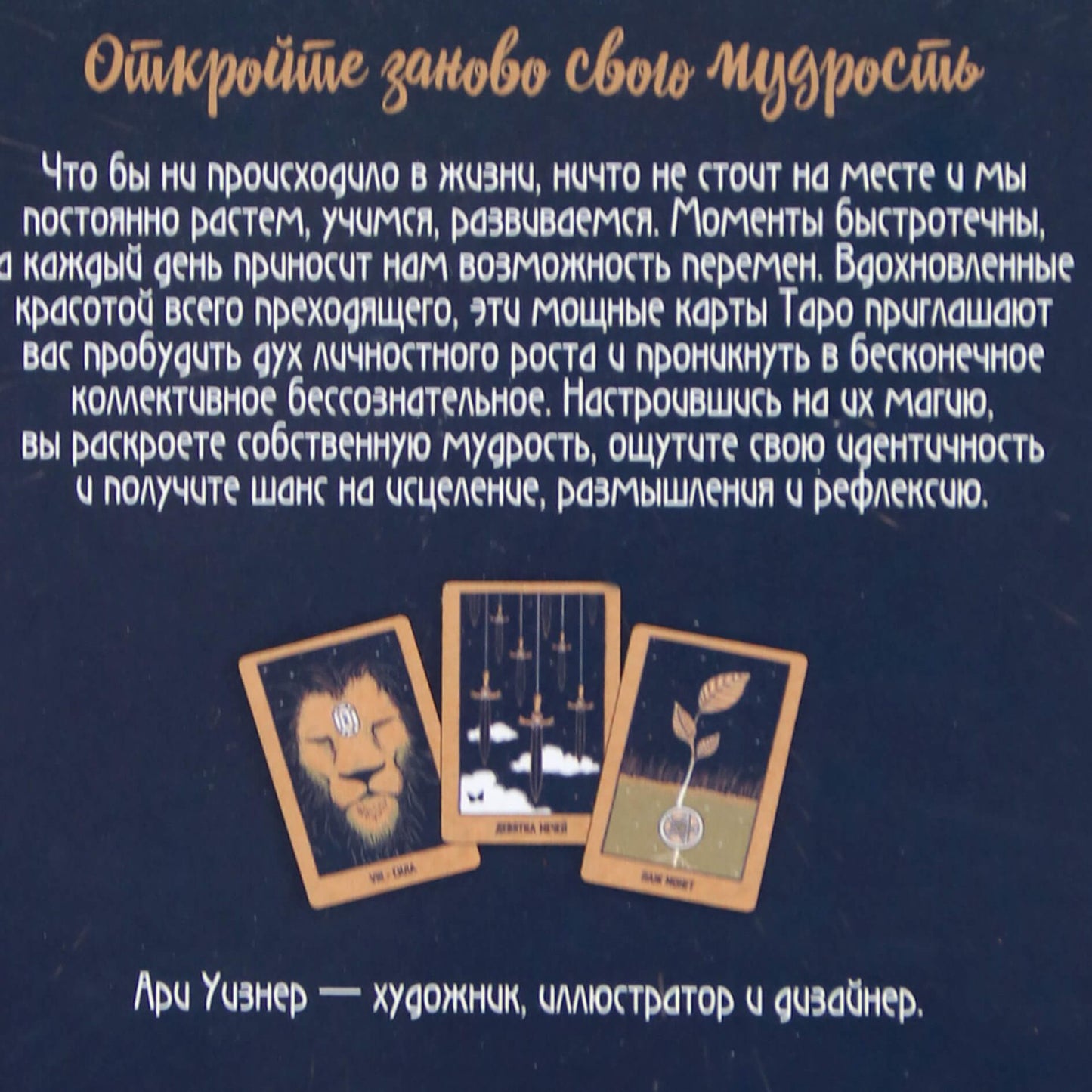 Ryškių pokyčių Taro kortos / Ari Wisner