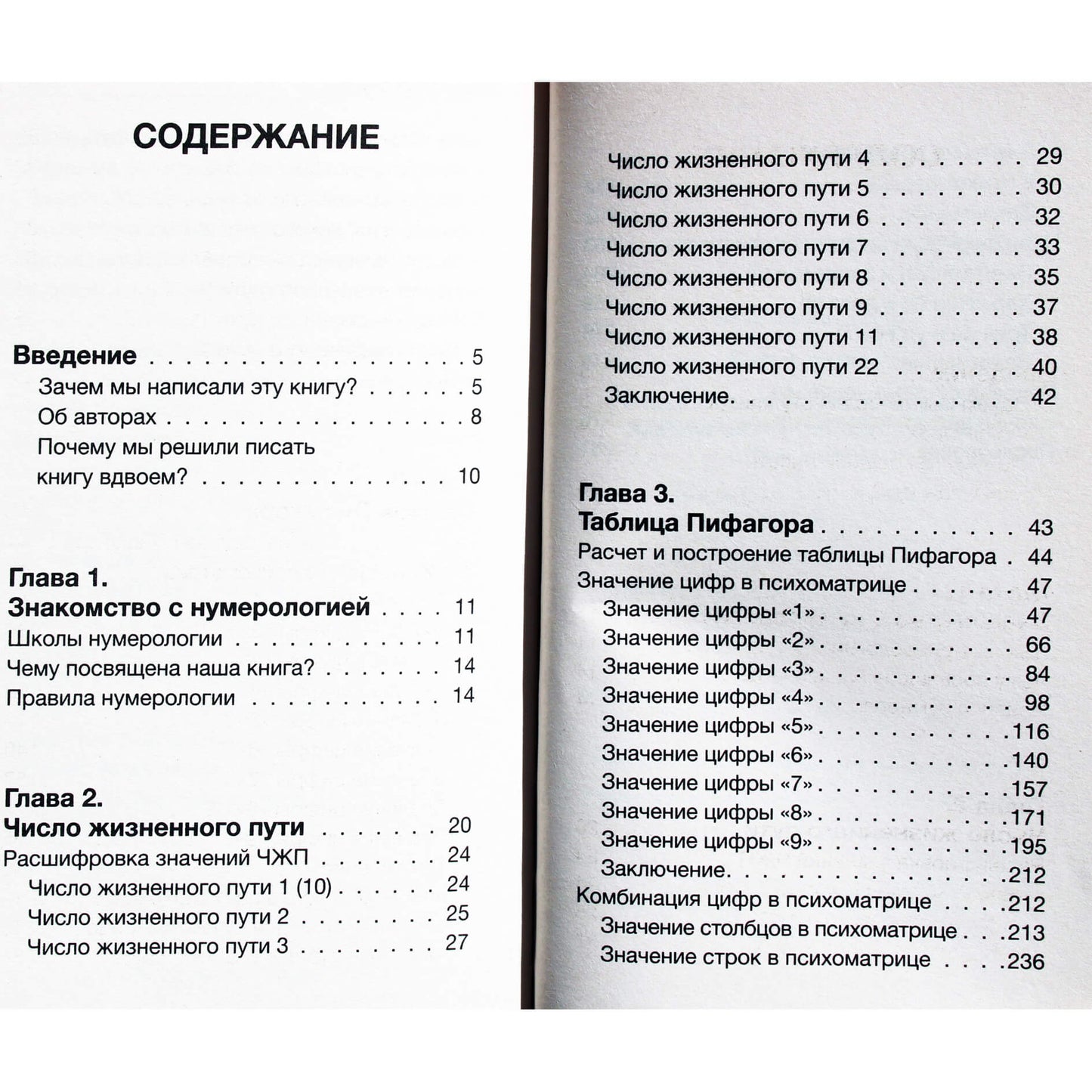 Liudmila ir Dmitrijus Rosokha "Karminė numerologija. Kelias į save"